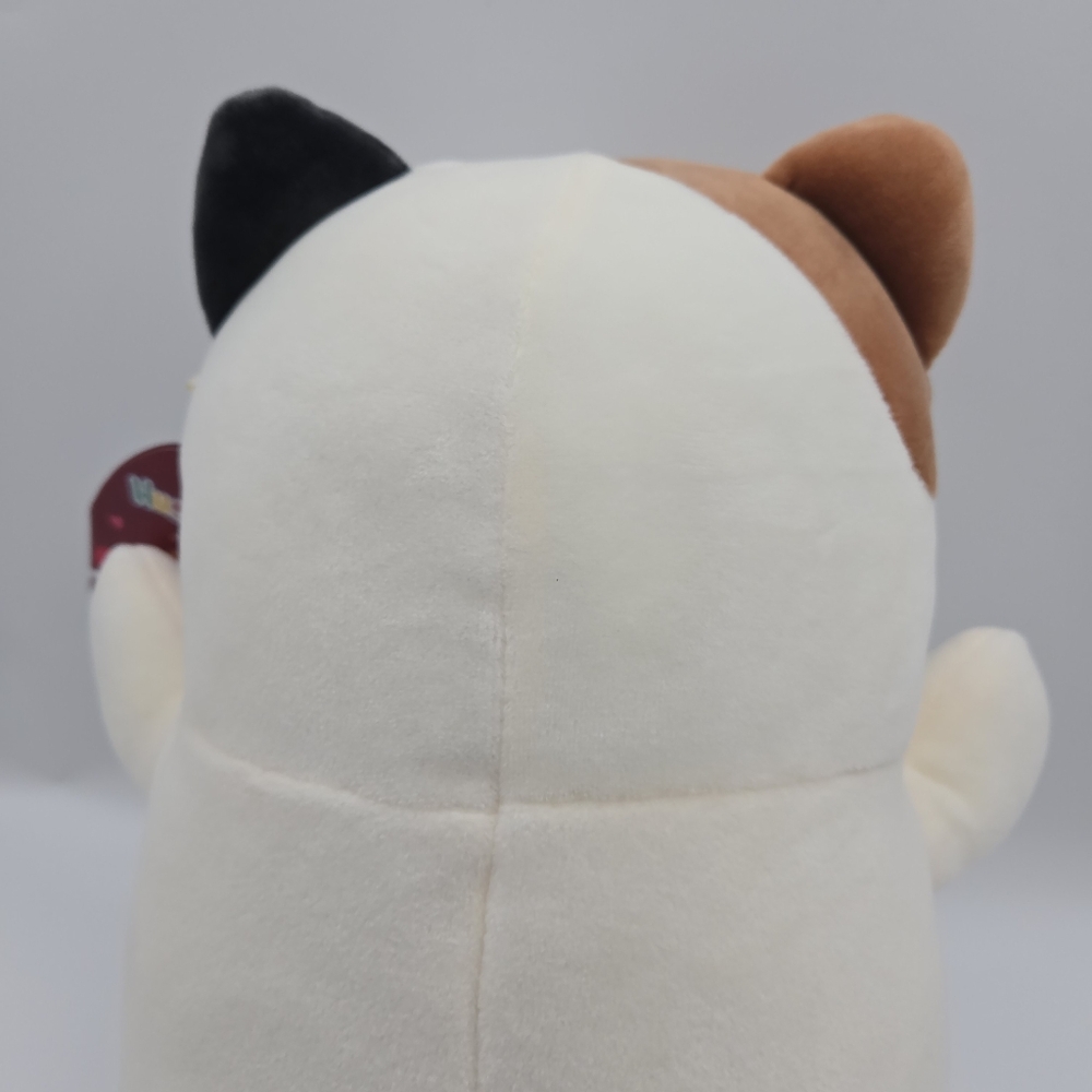 NEW Squishmallows Hug Mees Cam Calico Cat Valentines Plush Stuffed Animal 12" - Picture 6 of 14